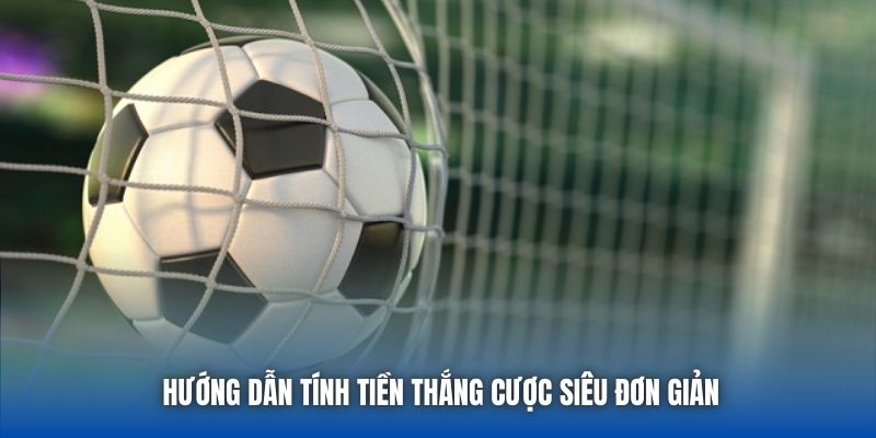 Hướng dẫn tính tiền thắng cược siêu đơn giản
